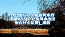 办公室放什么植物风水好有何说法(办公室风水应该坐在什么位置)_重复