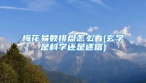 梅花易数排盘怎么看(玄学是科学还是迷信)