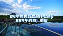 94年的狗到底是什么命(1994年的狗)_重复