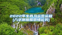 2022年生肖马运势运程(八字测婚姻感情运势)