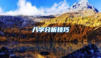 八字分析技巧