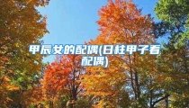 甲辰女的配偶(日柱甲子看配偶)