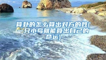 算卦的怎么算出对方的姓(一只小鸟就能算出自己的命运)