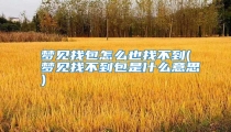 梦见找包怎么也找不到(梦见找不到包是什么意思)
