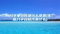 八字里日柱是什么意思(生辰八字日柱代表什么)