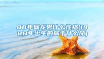 88年属龙男什么性格(1988年出生的属于什么命)
