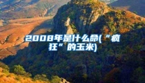2008年是什么命(“疯狂”的玉米)