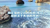 梅花易数空亡的应用(梅花易数关于失物的预测)