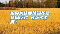 跟男友快要结婚却遭父母反对 该怎么办呢？