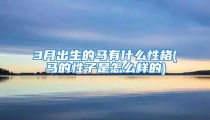 3月出生的马有什么性格(马的性子是怎么样的)