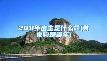 2011年出生是什么命(黄家驹是哪年)