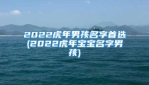 2022虎年男孩名字首选(2022虎年宝宝名字男孩)