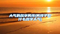 大气的名字男孩(男孩子取什么名字大气)