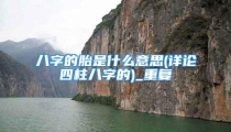 八字的胎是什么意思(详论四柱八字的)_重复