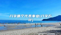 八字哪个代表事业(八字方针)