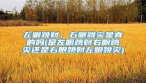 左眼跳财,右眼跳灾是真的吗(是左眼跳财右眼跳灾还是右眼跳财左眼跳灾)