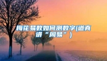 梅花易数如何测数字(道真讲“周易”)