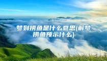 梦到捞鱼是什么意思(解梦捞鱼预示什么)