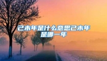 己未年是什么意思己未年是哪一年