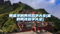带富字的男孩名字大全(富的男孩名字大全)
