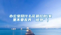 办公室放什么花最旺财(家里不要乱养“植物”)