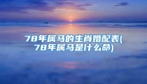 78年属马的生肖婚配表(78年属马是什么命)