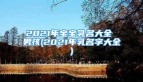 2021年宝宝乳名大全 男孩(2021年乳名字大全)