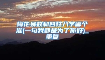 梅花易数和四柱八字哪个准(一句我都是为了你好)_重复