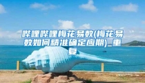 哔哩哔哩梅花易数(梅花易数如何精准确定应期)_重复