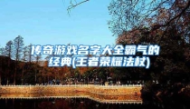 传奇游戏名字大全霸气的 经典(王者荣耀法杖)