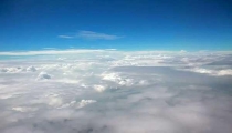 属羊配什么属相能发财(属羊的人和什么属相配)