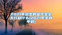2021年出生的金牛宝宝五行缺什么(2021年生肖年龄)