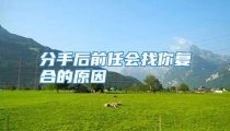 分手后前任会找你复合的原因