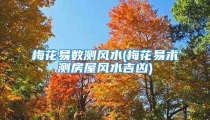 梅花易数测风水(梅花易术测房屋风水吉凶)