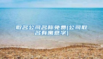 取名公司名称免费(公司取名有寓意字)