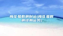 梅花易数测财运(梅花易数测终身运势)