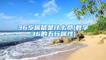 36岁属鼠是什么命(数字36的五行属性)