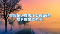 梦到地上有雪什么预兆(梦见下雪是怎么了)