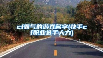 cf霸气的游戏名字(快手cf职业选手大力)
