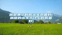 属鼠哪个时辰出生命最好(属鼠的出生于什么时辰最好)