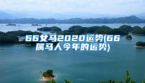 66女马2020运势(66属马人今年的运势)