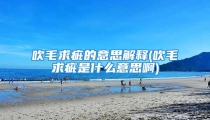 吹毛求疵的意思解释(吹毛求疵是什么意思啊)