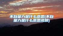 不自量力是什么意思(不自量力是什么意思视频)