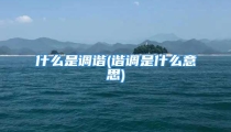 什么是调谐(谐调是什么意思)