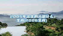 2005年出生的人是什么生肖(2006生肖)