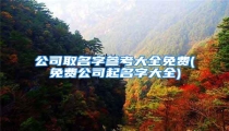 公司取名字参考大全免费(免费公司起名字大全)