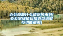 办公楼放什么植物风水好(办公室绿植租摆类型选取与功能讲解)
