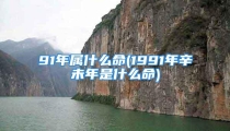 91年属什么命(1991年辛未年是什么命)
