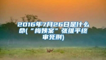 2016年7月26日是什么命(“梅姨案”张维平终审死刑)