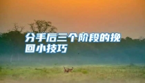 分手后三个阶段的挽回小技巧